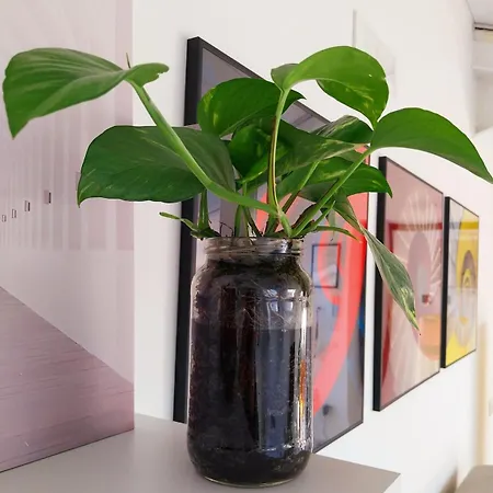 A Quiet Space Lejlighed *